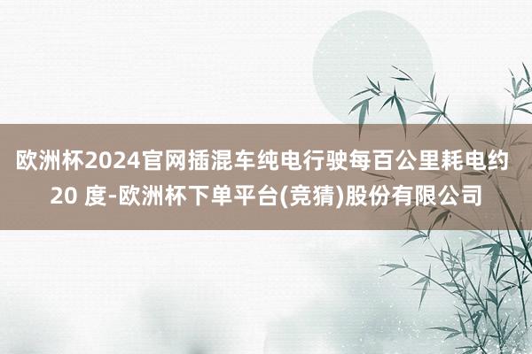 欧洲杯2024官网插混车纯电行驶每百公里耗电约 20 度-欧洲杯下单平台(竞猜)股份有限公司