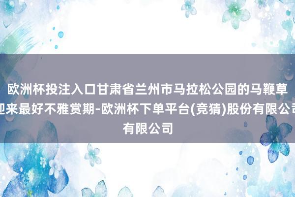 欧洲杯投注入口甘肃省兰州市马拉松公园的马鞭草迎来最好不雅赏期-欧洲杯下单平台(竞猜)股份有限公司