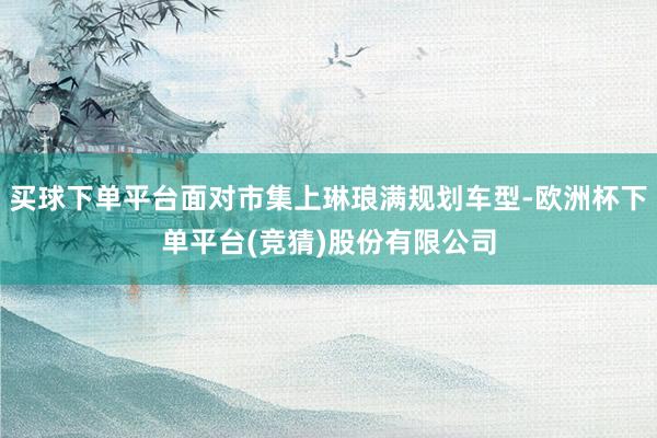 买球下单平台面对市集上琳琅满规划车型-欧洲杯下单平台(竞猜)股份有限公司