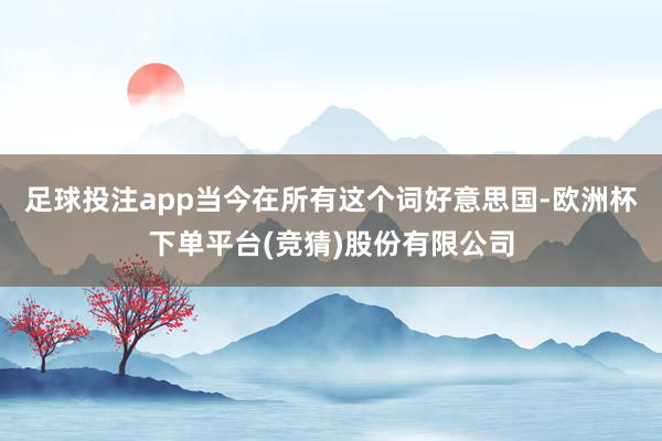 足球投注app当今在所有这个词好意思国-欧洲杯下单平台(竞猜)股份有限公司