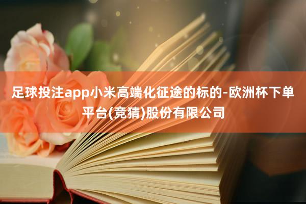 足球投注app小米高端化征途的标的-欧洲杯下单平台(竞猜)股份有限公司
