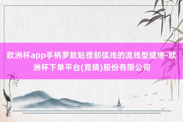 欧洲杯app手柄罗致贴捏部弧线的流线型缱绻-欧洲杯下单平台(竞猜)股份有限公司