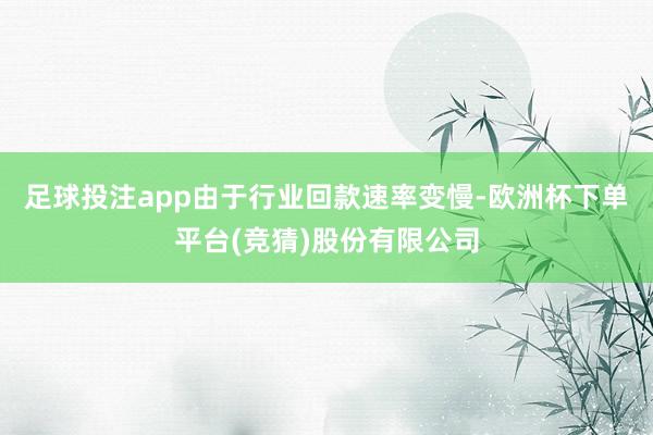 足球投注app由于行业回款速率变慢-欧洲杯下单平台(竞猜)股份有限公司