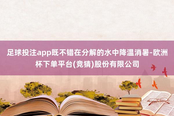 足球投注app既不错在分解的水中降温消暑-欧洲杯下单平台(竞猜)股份有限公司