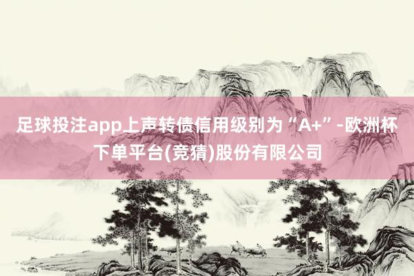 足球投注app上声转债信用级别为“A+”-欧洲杯下单平台(竞猜)股份有限公司
