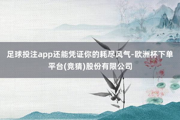 足球投注app还能凭证你的耗尽风气-欧洲杯下单平台(竞猜)股份有限公司