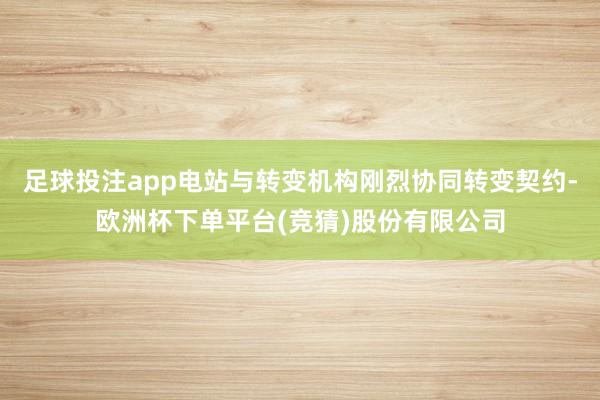 足球投注app电站与转变机构刚烈协同转变契约-欧洲杯下单平台(竞猜)股份有限公司