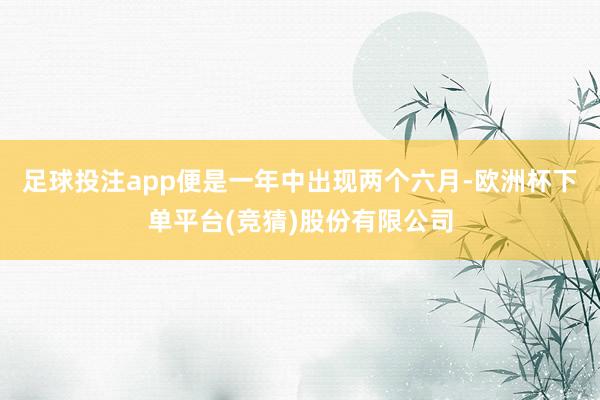 足球投注app便是一年中出现两个六月-欧洲杯下单平台(竞猜)股份有限公司