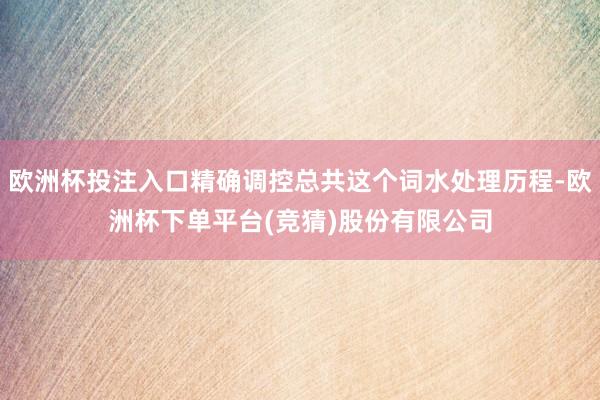 欧洲杯投注入口精确调控总共这个词水处理历程-欧洲杯下单平台(竞猜)股份有限公司