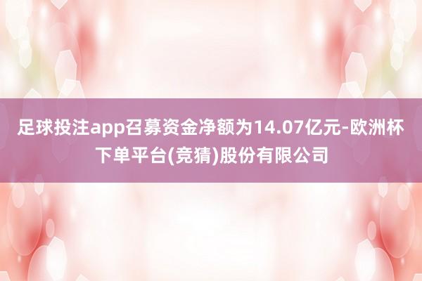 足球投注app召募资金净额为14.07亿元-欧洲杯下单平台(竞猜)股份有限公司