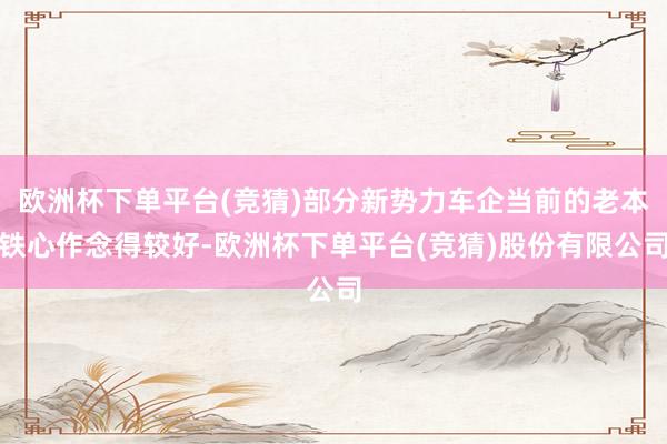 欧洲杯下单平台(竞猜)部分新势力车企当前的老本铁心作念得较好-欧洲杯下单平台(竞猜)股份有限公司