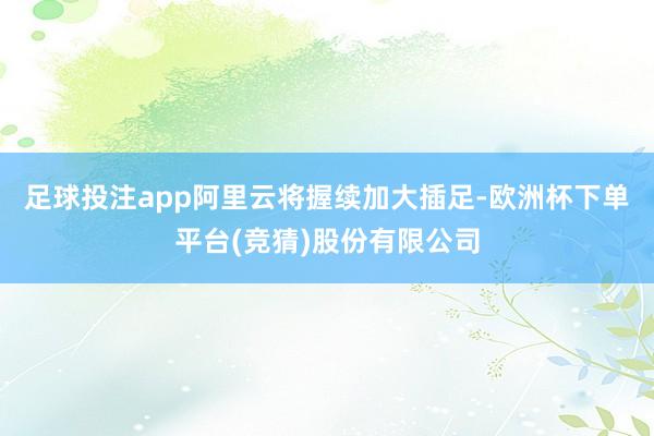 足球投注app阿里云将握续加大插足-欧洲杯下单平台(竞猜)股份有限公司