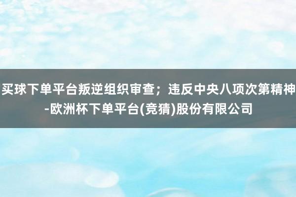 买球下单平台叛逆组织审查；违反中央八项次第精神-欧洲杯下单平台(竞猜)股份有限公司