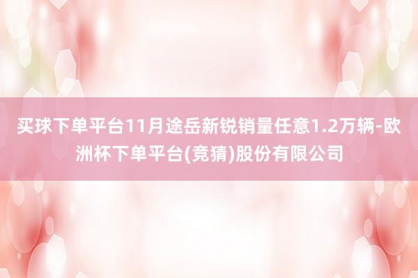 买球下单平台11月途岳新锐销量任意1.2万辆-欧洲杯下单平台(竞猜)股份有限公司