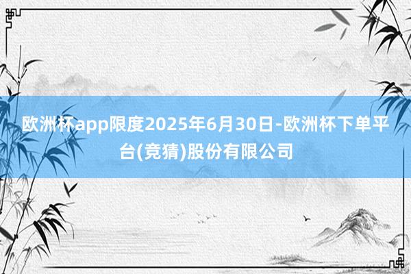 欧洲杯app限度2025年6月30日-欧洲杯下单平台(竞猜)股份有限公司