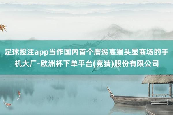 足球投注app当作国内首个膺惩高端头显商场的手机大厂-欧洲杯下单平台(竞猜)股份有限公司