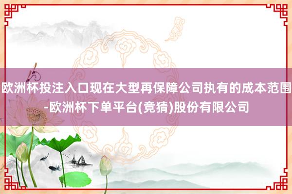 欧洲杯投注入口现在大型再保障公司执有的成本范围-欧洲杯下单平台(竞猜)股份有限公司