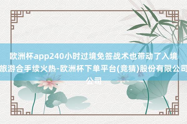 欧洲杯app240小时过境免签战术也带动了入境旅游合手续火热-欧洲杯下单平台(竞猜)股份有限公司