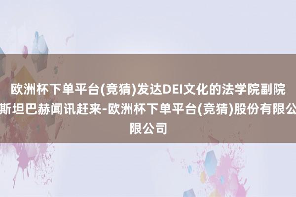 欧洲杯下单平台(竞猜)发达DEI文化的法学院副院长斯坦巴赫闻讯赶来-欧洲杯下单平台(竞猜)股份有限公司