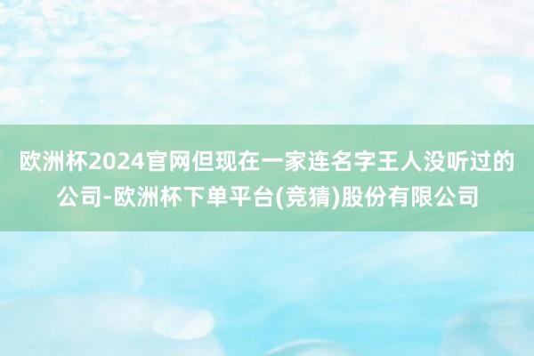 欧洲杯2024官网但现在一家连名字王人没听过的公司-欧洲杯下单平台(竞猜)股份有限公司