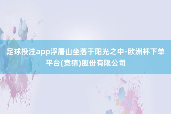 足球投注app浮屠山坐落于阳光之中-欧洲杯下单平台(竞猜)股份有限公司