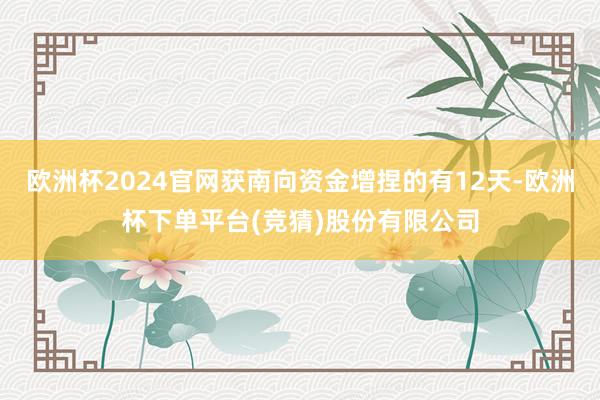 欧洲杯2024官网获南向资金增捏的有12天-欧洲杯下单平台(竞猜)股份有限公司
