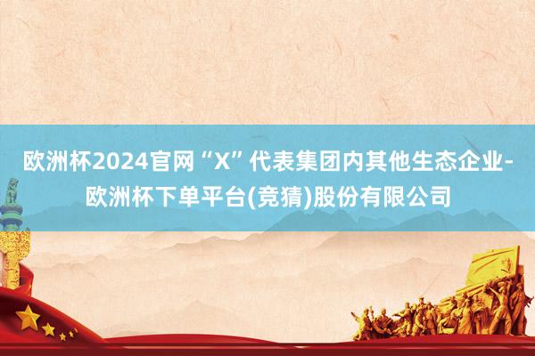 欧洲杯2024官网“X”代表集团内其他生态企业-欧洲杯下单平台(竞猜)股份有限公司