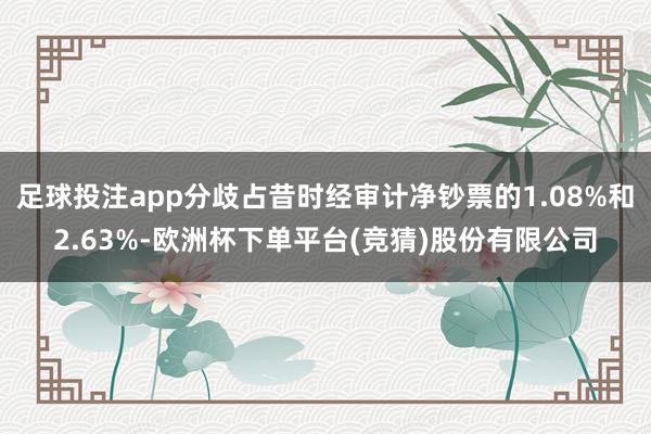 足球投注app分歧占昔时经审计净钞票的1.08%和2.63%-欧洲杯下单平台(竞猜)股份有限公司