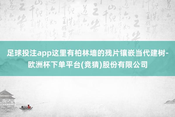 足球投注app这里有柏林墙的残片镶嵌当代建树-欧洲杯下单平台(竞猜)股份有限公司
