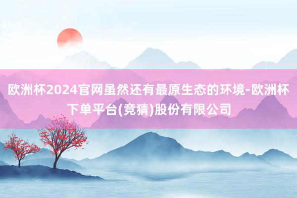 欧洲杯2024官网虽然还有最原生态的环境-欧洲杯下单平台(竞猜)股份有限公司