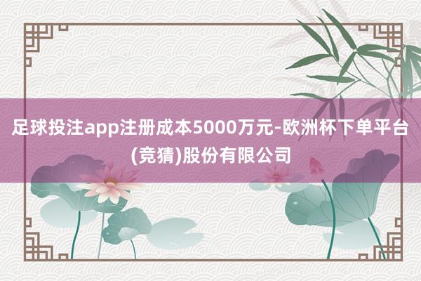 足球投注app注册成本5000万元-欧洲杯下单平台(竞猜)股份有限公司