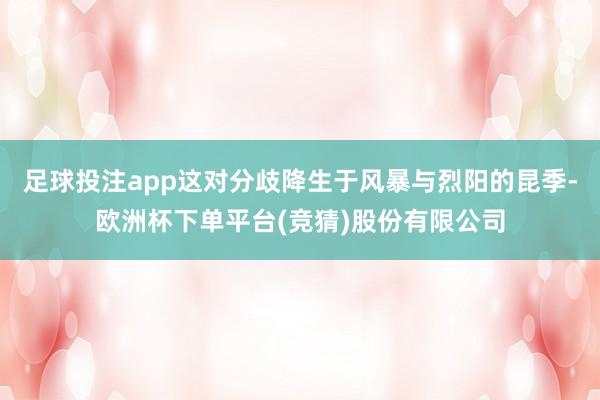 足球投注app这对分歧降生于风暴与烈阳的昆季-欧洲杯下单平台(竞猜)股份有限公司