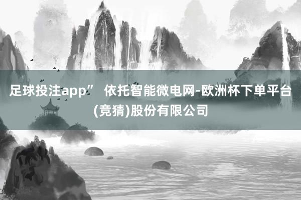 足球投注app”  依托智能微电网-欧洲杯下单平台(竞猜)股份有限公司