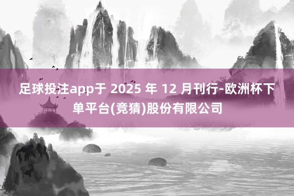 足球投注app于 2025 年 12 月刊行-欧洲杯下单平台(竞猜)股份有限公司