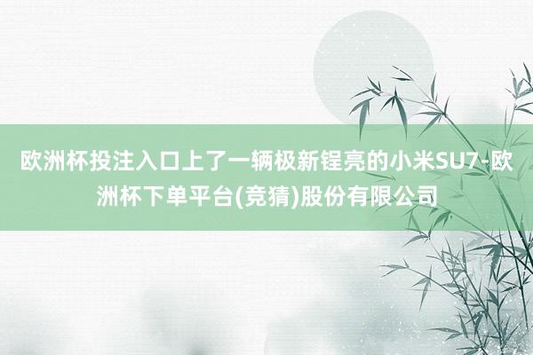 欧洲杯投注入口上了一辆极新锃亮的小米SU7-欧洲杯下单平台(竞猜)股份有限公司
