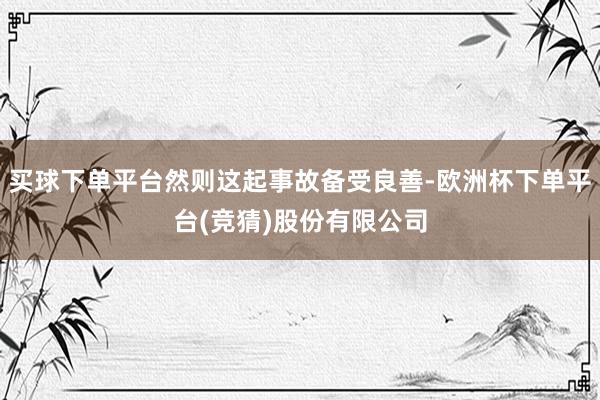 买球下单平台然则这起事故备受良善-欧洲杯下单平台(竞猜)股份有限公司