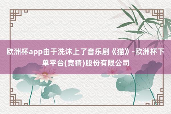 欧洲杯app由于洗沐上了音乐剧《猫》-欧洲杯下单平台(竞猜)股份有限公司