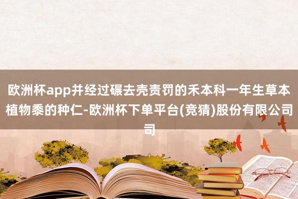 欧洲杯app并经过碾去壳责罚的禾本科一年生草本植物黍的种仁-欧洲杯下单平台(竞猜)股份有限公司