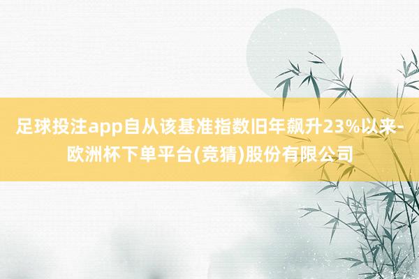 足球投注app自从该基准指数旧年飙升23%以来-欧洲杯下单平台(竞猜)股份有限公司