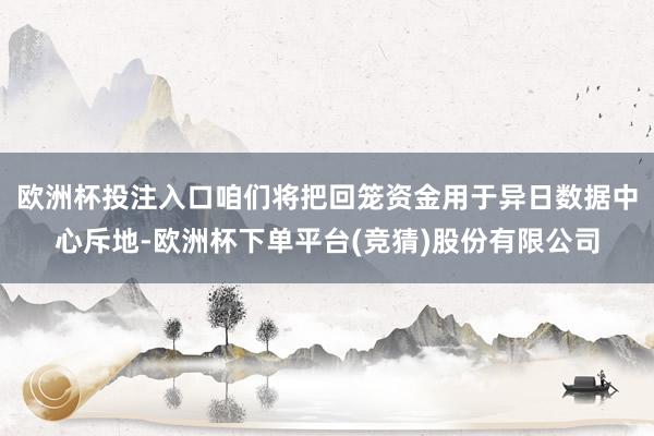欧洲杯投注入口咱们将把回笼资金用于异日数据中心斥地-欧洲杯下单平台(竞猜)股份有限公司