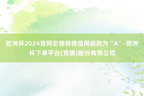 欧洲杯2024官网宏微转债信用级别为“A”-欧洲杯下单平台(竞猜)股份有限公司