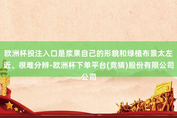 欧洲杯投注入口是浆果自己的形貌和绿植布景太左近、很难分辨-欧洲杯下单平台(竞猜)股份有限公司