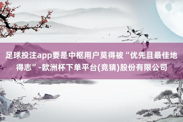 足球投注app要是中枢用户莫得被“优先且最佳地得志”-欧洲杯下单平台(竞猜)股份有限公司