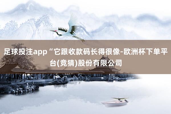 足球投注app“它跟收款码长得很像-欧洲杯下单平台(竞猜)股份有限公司