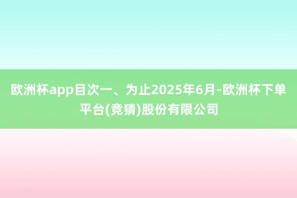 欧洲杯app目次一、为止2025年6月-欧洲杯下单平台(竞猜)股份有限公司