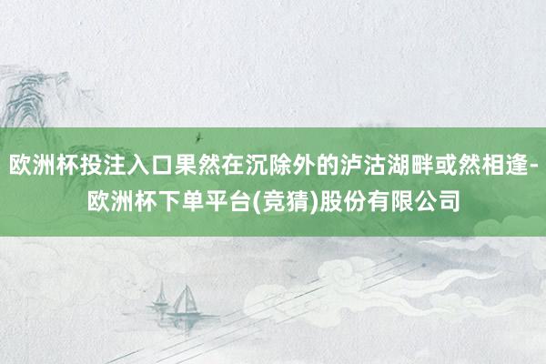 欧洲杯投注入口果然在沉除外的泸沽湖畔或然相逢-欧洲杯下单平台(竞猜)股份有限公司