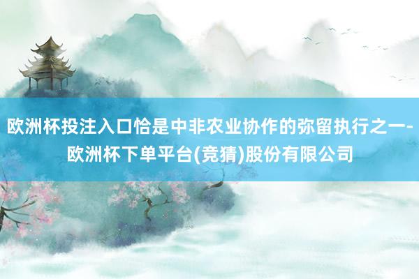 欧洲杯投注入口恰是中非农业协作的弥留执行之一-欧洲杯下单平台(竞猜)股份有限公司
