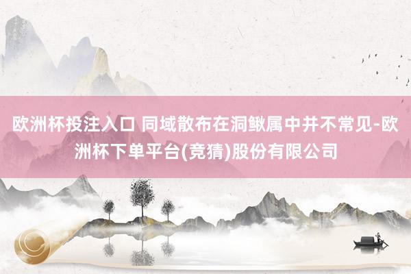欧洲杯投注入口 同域散布在洞鳅属中并不常见-欧洲杯下单平台(竞猜)股份有限公司
